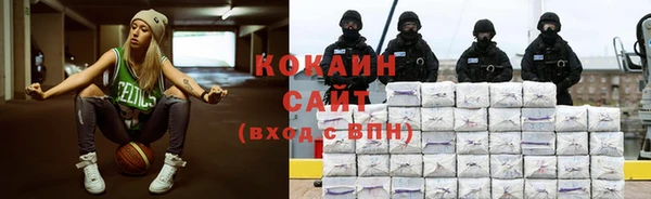 гидра Алексин