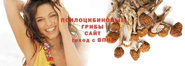 PSILOCYBIN Алзамай