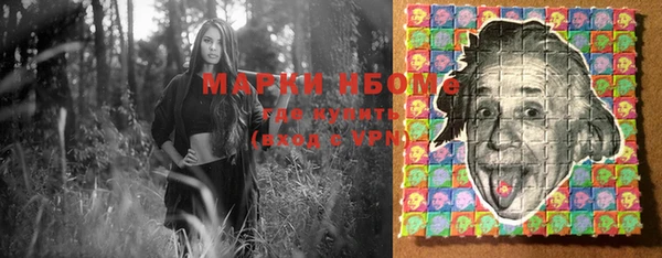 PSILOCYBIN Алзамай