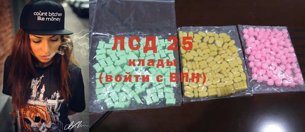 PSILOCYBIN Алзамай