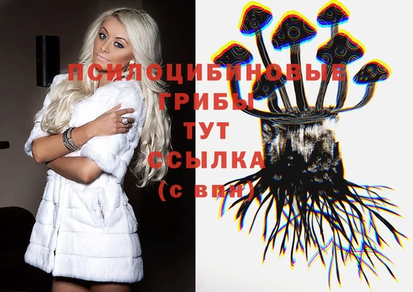 PSILOCYBIN Алзамай