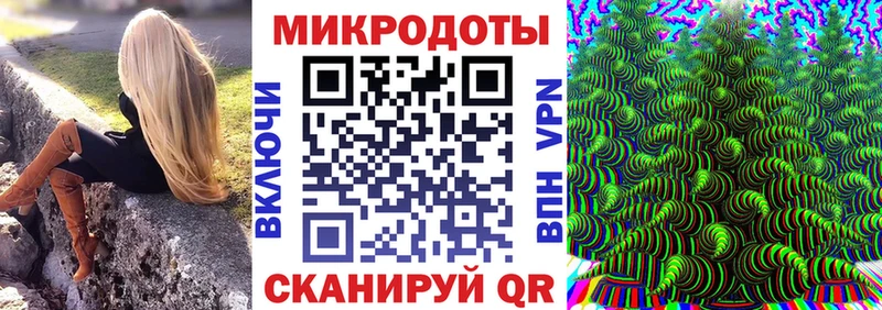 Купить где  Рошаль  Галлюциногенные грибы Psilocybine cubensis 